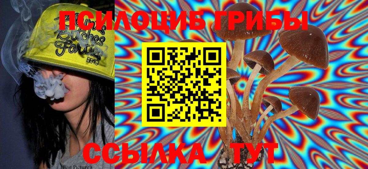Фрязино  Галлюциногенные грибы Psilocybe  Вход с VPN  Галлюциногенные грибы Magic Shrooms 