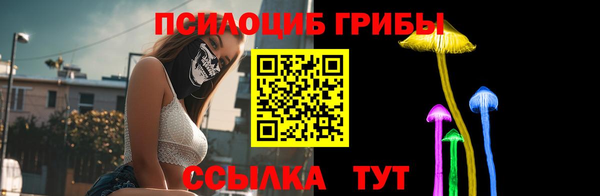 Псилоцибиновые грибы Psilocybe Фрязино